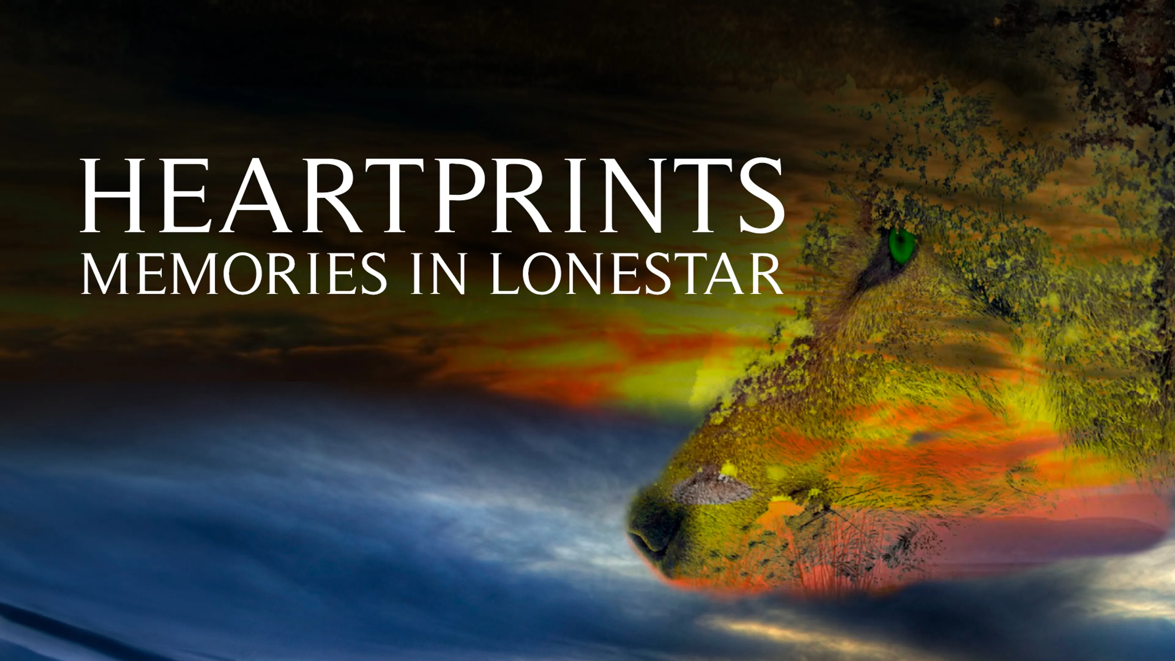 Heartprints: Memories in Lonestar poster
